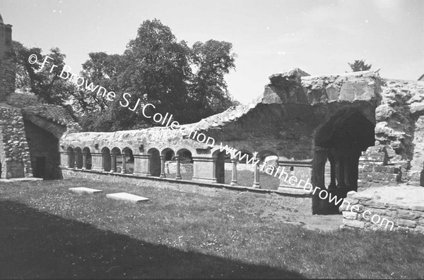 ARDFERT FRIARY SCENES CLOISTERS